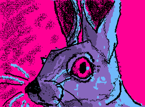 jackrabbits freak me out, like why do they have human eyes????