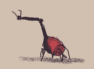 girrafe weevil bug :3