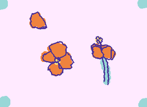 @cyb3r_vib3r here the hibiscus