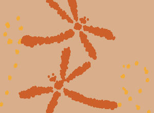 Dragonflies とんぼ