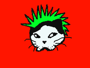Punky cat :b