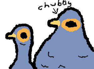 Never realised how skinny the pigeons in australia were until i compared them to china's