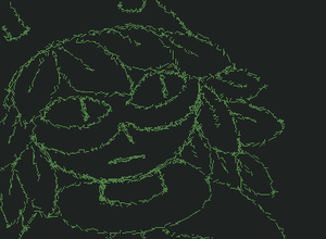 Huntress wizard headshot