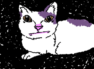 7 years ago, we were introduced to this meme—the beluga cat. in all of its awkward glory.