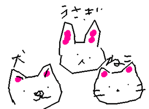 動物フォローよろしくね！！