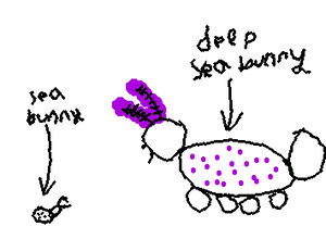 A sea bunny and a deep sea bunny. Request by @Zephpr(I didn't know which one to draw so a drew both, zephpr)