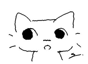 What is the cat looking 👀